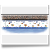 AQUARIO