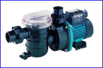 Onga